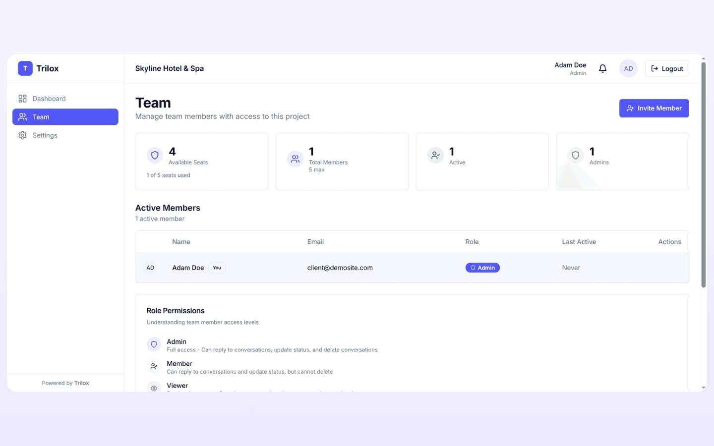 Client team management with roles